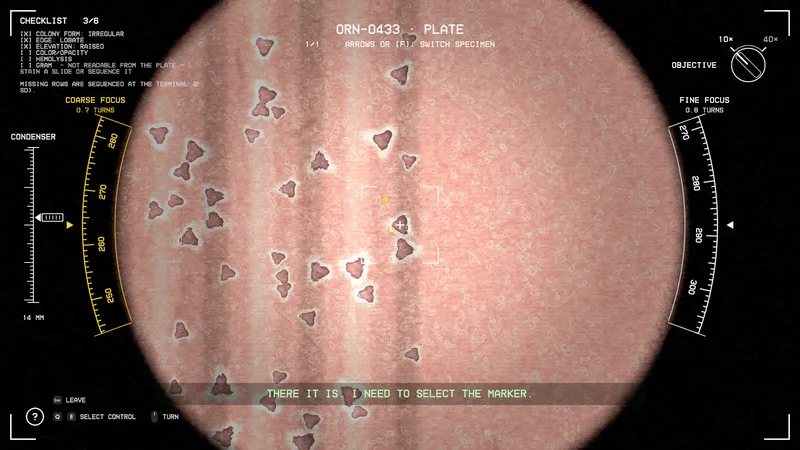 Reading a colony under the microscope